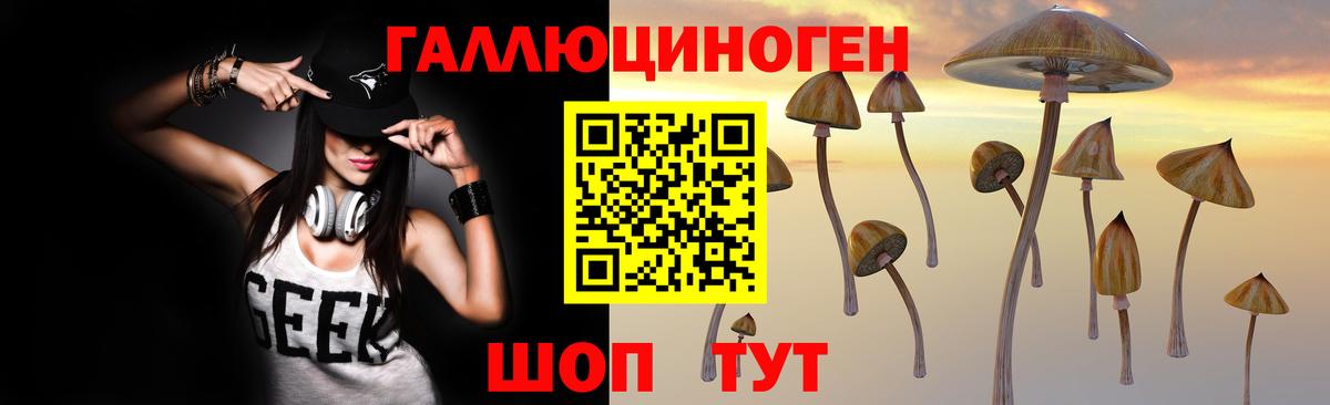 Северск  Псилоцибиновые грибы Psilocybe  Вход с VPN  Псилоцибиновые грибы ЛСД 